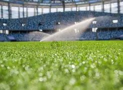 国际足球,横梁对决,纳尼精湛射,博鱼体育官网,博鱼体育app,博鱼体育APP下载