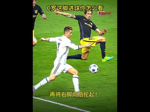 樊振东正式,接任新职,亮相岗位,博鱼体育官网,博鱼体育app,博鱼体育APP下载