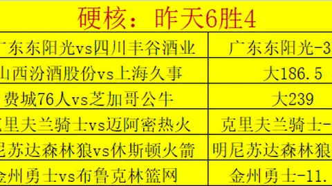 NBA比赛深度解读：开拓者对阵马刺G4专家分析